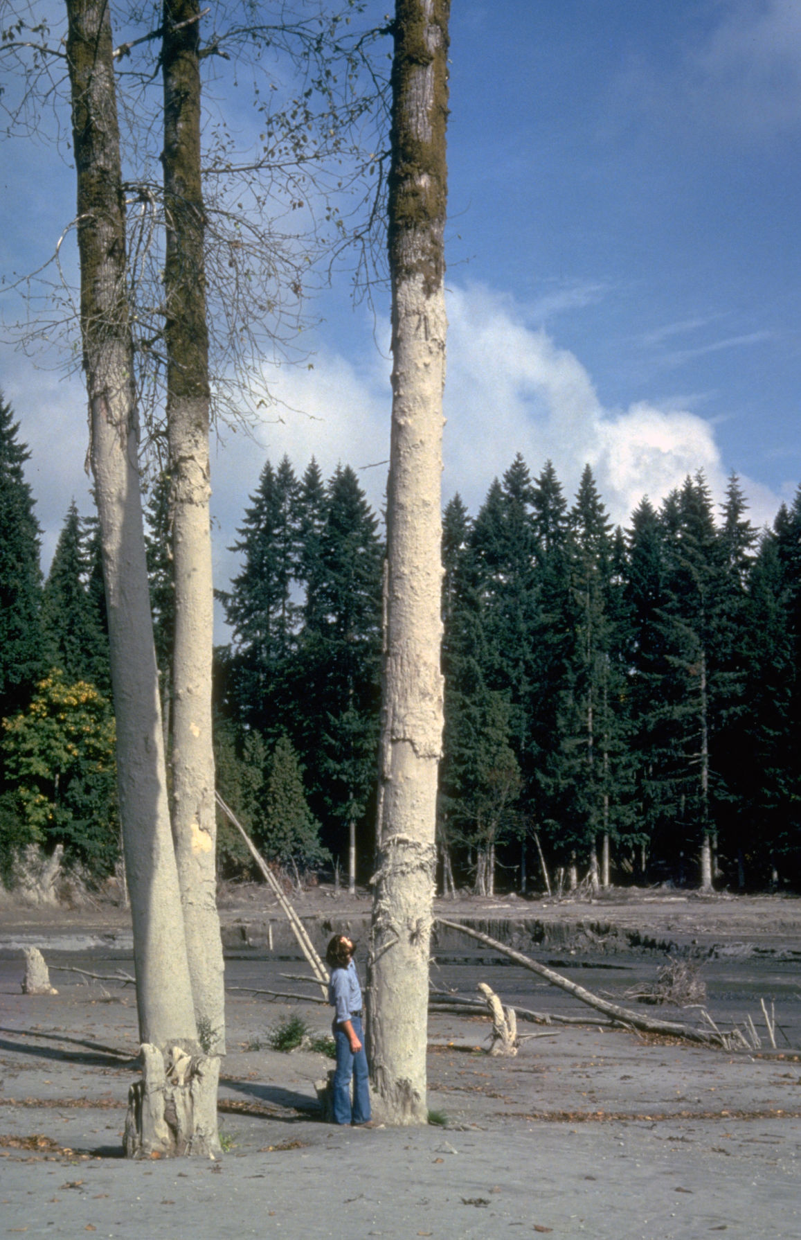 vhp_img1259.jpg